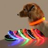 Glow-In-The-Dark Pet Collar For Dog & Cat; LED Dog Collar For Night Walking; USB charging - Yellow - L