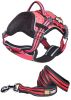 Helios Dog Chest Compression Pet Harness and Leash Combo - Small - (HA6PKSM)