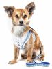 Pet Life Luxe 'Spawling' 2-In-1 Mesh Reversed Adjustable Dog Harness-Leash W/ Fashion Bowtie - Blue - X-Small