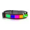 LED Dog Collar USB Rechargeable Adjustable Dog Safety Collar Night Safety Flashing Luminous Light up Collar - Color - L