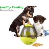 Cats and Dogs Food Dispenser Tumbler - Green