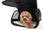 Airline Approved Folding Zippered Casual Pet Carrier - Medium