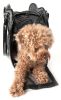 Exquisite' Handbag Fashion Pet Carrier - B23BKMD