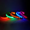 Glow-In-The-Dark Pet Collar For Dog & Cat; LED Dog Collar For Night Walking; USB charging - Orange - XS