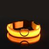 Glow-In-The-Dark Pet Collar For Dog & Cat; LED Dog Collar For Night Walking; USB charging - Yellow - S