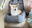 Pet Life 'Pawtrol' Dual Converting Travel Safety Carseat and Pet Bed - Beige