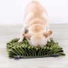 Pet Life 'Sniffer Grip' Interactive Anti-Skid Suction Pet Snuffle Mat - Green