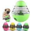 Dog Toys Food Ball Food Dispenser Training Balls Interactive Puppy Cat Slow Feed Pet Tumbler Toy Dogs Puzzle Toys Pet Supplies - Green