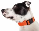 Pet Life 'Aero Mesh' 360 Degree Dual Sided Comfortable And Breathable Adjustable Mesh Dog Collar - Orange - Large