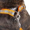 Reflective Stitched Easy Tension Adjustable 2-in-1 Dog Leash and Harness - Medium