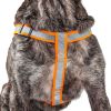 Reflective Stitched Easy Tension Adjustable 2-in-1 Dog Leash and Harness - Large