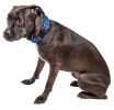 Pet Life 'Aero Mesh' 360 Degree Dual Sided Comfortable And Breathable Adjustable Mesh Dog Collar - Blue - Large