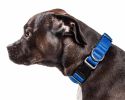 Pet Life 'Aero Mesh' 360 Degree Dual Sided Comfortable And Breathable Adjustable Mesh Dog Collar - Blue - Large