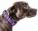 Pet Life 'Aero Mesh' 360 Degree Dual Sided Comfortable And Breathable Adjustable Mesh Dog Collar - Purple - Medium