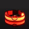 Glow-In-The-Dark Pet Collar For Dog & Cat; LED Dog Collar For Night Walking; USB charging - Red - M