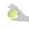 Dog Tennis Balls 20 Pack Pet Tennis Ball for Small Dogs Premium Fetch Toy Non-Toxic Non-Abrasive Material - KM0632