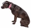 Pet Life 'Aero Mesh' 360 Degree Dual Sided Comfortable And Breathable Adjustable Mesh Dog Collar - Pink - Small