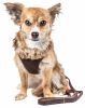 Pet Life Luxe 'Furracious' 2-In-1 Mesh Reversed Adjustable Dog Harness-Leash W/ Removable Fur Collar - Brown - X-Small