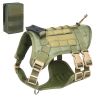 Universal Outdoor Dog Harness With Pet Leash And Snap Shackle Hitched Loop For Dogs - Matcha set with bag - S