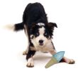 Pet Life Ice Cream Cone Cooling 'Lick And Gnaw' Water Fillable And Freezable Rubberized Dog Chew And Teether Toy - Blue