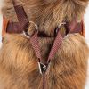 Pet Life Luxe 'Pawsh' 2-In-1 Mesh Reversed Adjustable Dog Harness-Leash W/ Fashion Bowtie - Small