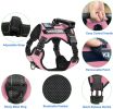 Pet Harness And Leash Set For Dog & Cat; Adjustable No Pull Service Dog Vest Harness For Walking - Red - S