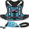 Pet Harness And Leash Set For Dog & Cat; Adjustable No Pull Service Dog Vest Harness For Walking - Lake Blue - XL