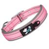 Pet dog collar; diving cloth reflective nylon collar; medium and large dog collar - Color ribbon: green - L 2.5*(48-58)CM