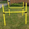 Pet Life Jumping Hurdle Collapsible Agility Dog Trainer Kit - TR2DG