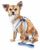 Pet Life Luxe 'Spawling' 2-In-1 Mesh Reversed Adjustable Dog Harness-Leash W/ Fashion Bowtie - Blue - Small