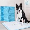 Pet Training 1 Bag Pads Super Absorbent Pet Diaper Disposable Healthy Nappy Mat Pet Dog Leak-proof Pee Pads with Quick-dry Surface - Blue - 50pcs 45x6