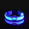 Glow-In-The-Dark Pet Collar For Dog & Cat; LED Dog Collar For Night Walking; USB charging - Blue - S