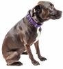 Pet Life 'Aero Mesh' 360 Degree Dual Sided Comfortable And Breathable Adjustable Mesh Dog Collar - Purple - Medium