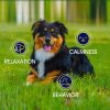 Hemp Calming Chews for Dogs with Anxiety and Stress Dog Calming Treats Dog Anxiety Relief 90 Chews - Yuma'S