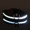 Glow-In-The-Dark Pet Collar For Dog & Cat; LED Dog Collar For Night Walking; USB charging - Blue - XS